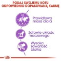 Royal Canin Sterilised karma sucha dla kotów dorosłych, sterylizowanych 400g