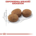 Royal Canin Sterilised karma sucha dla kotów dorosłych, sterylizowanych 4kg