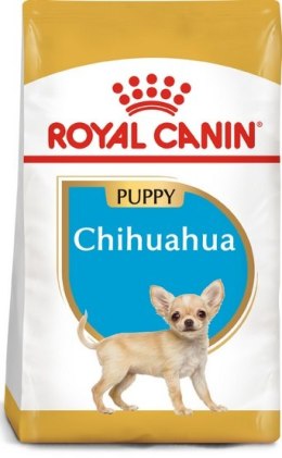 Royal Canin Chihuahua Puppy karma sucha dla szczeniąt do 8 miesiąca, rasy chihuahua 1,5kg