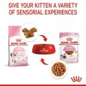 Royal Canin Kitten w sosie karma mokra dla kociąt do 12 miesiąca życia saszetka 85g