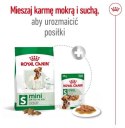 Royal Canin Mini Adult karma sucha dla psów dorosłych, ras małych 0,8kg