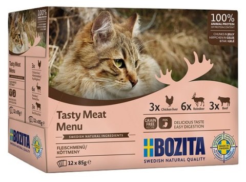 Bozita Cat Multibox z mięsem w galaretce saszetki 12x85g