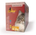 Catz Finefood Classic Collection I saszetki multipack N.03-13 12x85g