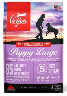 Orijen Puppy Large Breed 6kg