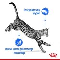 Royal Canin Indoor Sterilised Jelly karma mokra dla kotów dorosłych sterylizowanych, przebywających w domu saszetka 85g