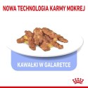 Royal Canin Indoor Sterilised Jelly karma mokra dla kotów dorosłych sterylizowanych, przebywających w domu saszetka 85g