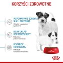 Royal Canin Mini Starter Mother&Babydog karma sucha dla szczeniąt do 2 miesiąca i suk karmiących ras małych 4kg