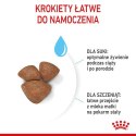 Royal Canin Mini Starter Mother&Babydog karma sucha dla szczeniąt do 2 miesiąca i suk karmiących ras małych 4kg