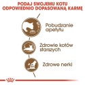 Royal Canin Ageing +12 karma sucha dla kotów dojrzałych 400g