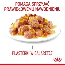 Royal Canin Hair & Skin Care karma mokra w galaretce dla kotów dorosłych, lśniąca sierść i zdrowa skóra saszetka 85g