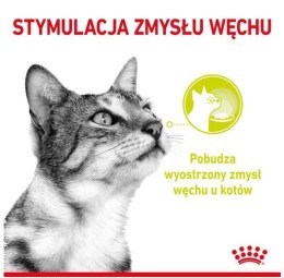 Royal Canin Sensory Smell w sosie karma mokra dla kotów dorosłych saszetka 85g