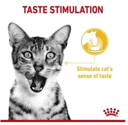 Royal Canin Sensory Taste w sosie karma mokra dla kotów dorosłych saszetka 85g